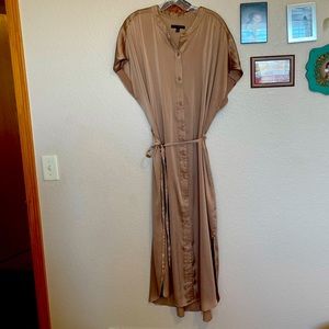 Shiny banana republic dress